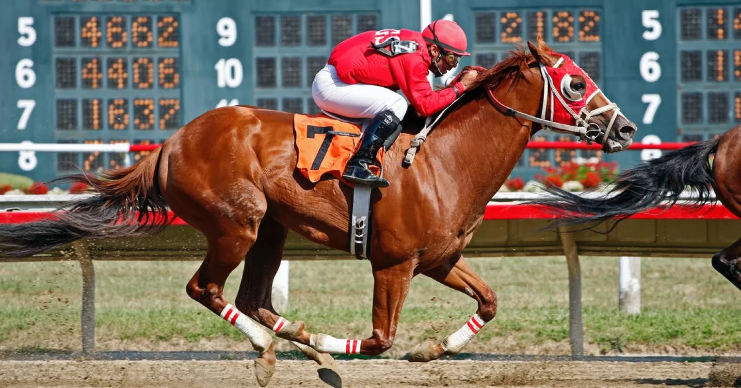How to Bet on UK Horse Racing