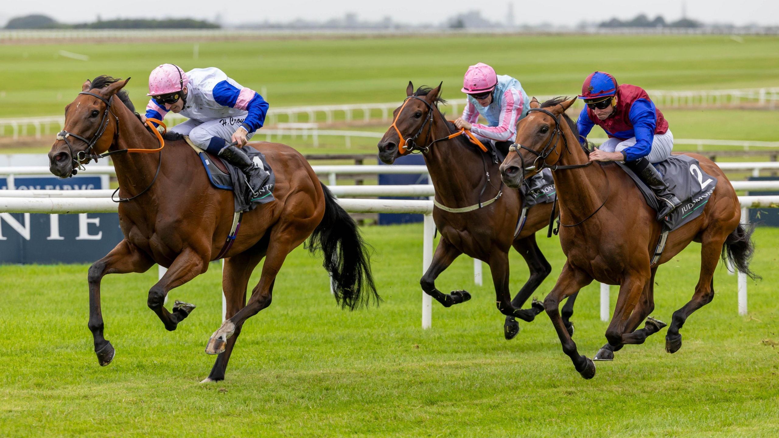 Irish Horse Racing