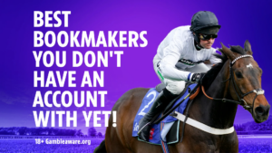 Best Bookmakers for Horse Racing Fans
