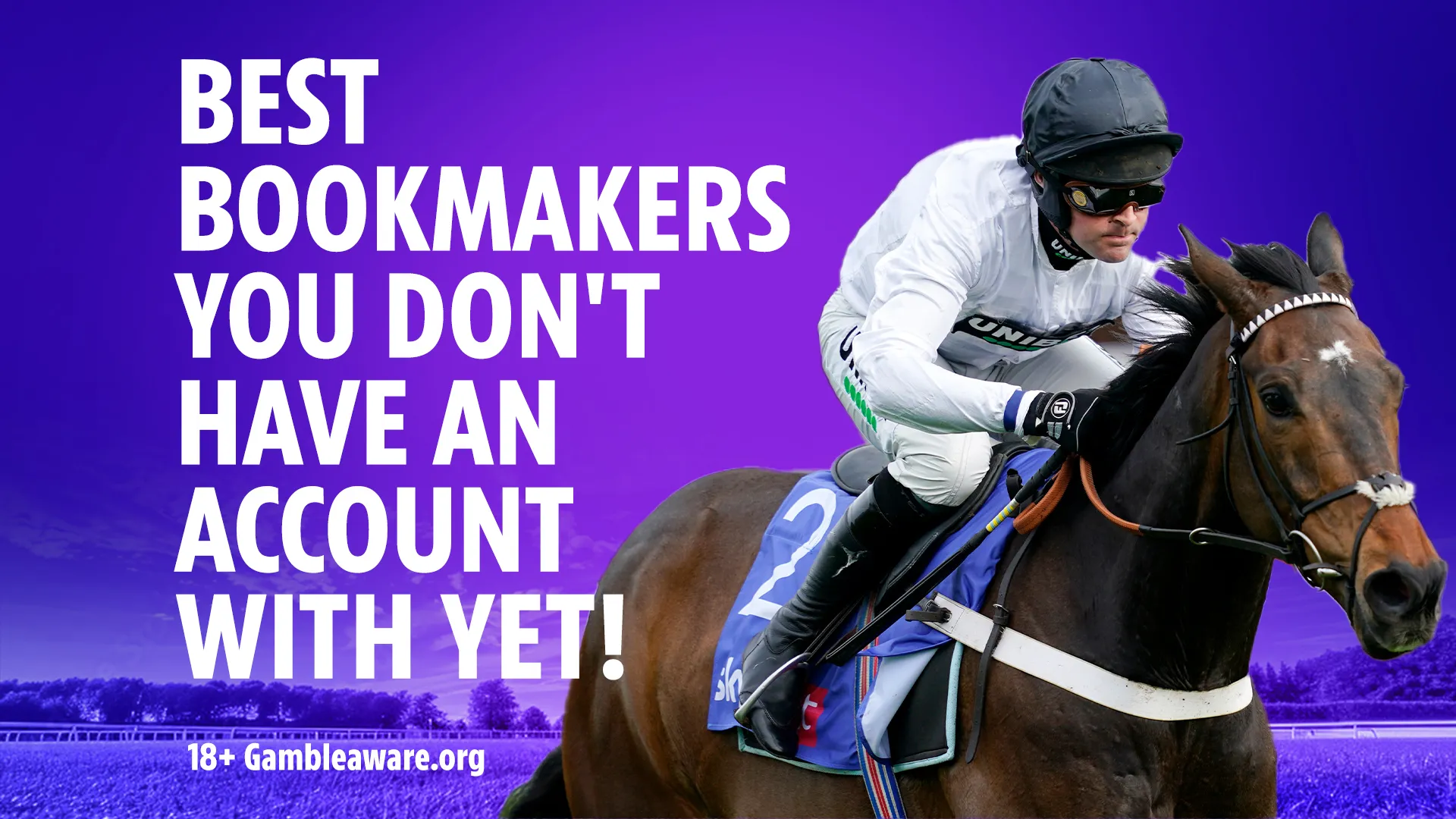 Best Bookmakers for Horse Racing Fans